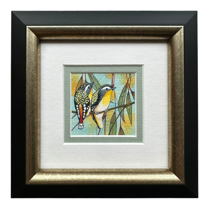 Spotted Pardalote - Winter 2025
