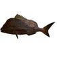 Pink Snapper
