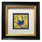 Splendid Fairy Wren F