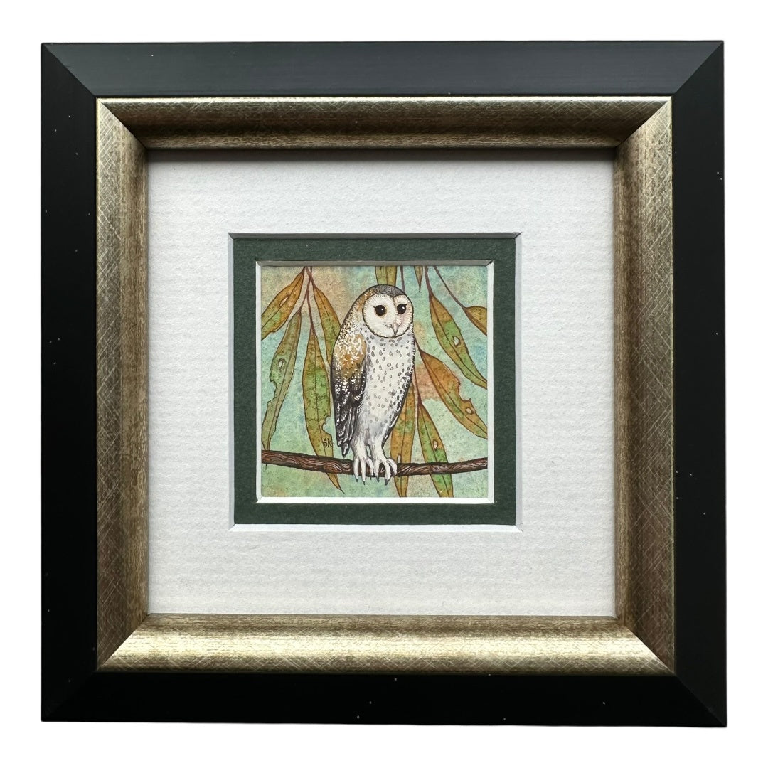 Masked Owl - Winter 2025