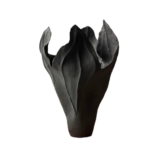 Black Large Vase II - Seed Collection