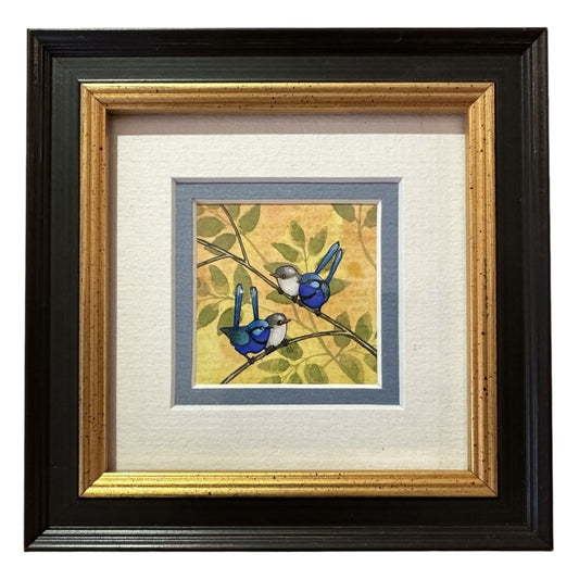 Splendid Fairy Wren I