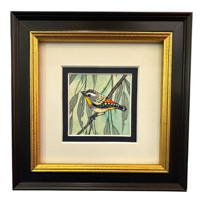 Spotted Pardalote  - Autumn 2025