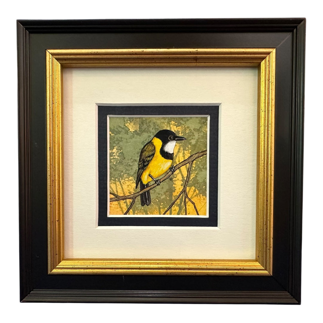 Golden Whistler  - Autumn 2025
