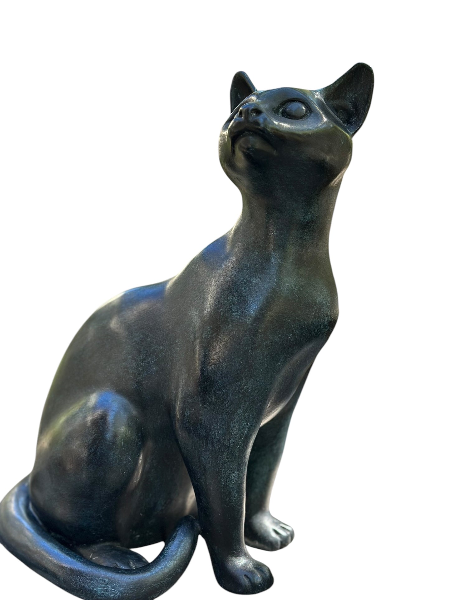 Sitting Cat