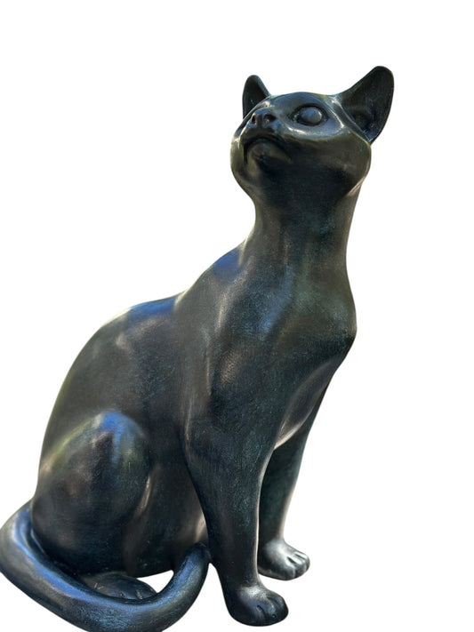 Sitting Cat