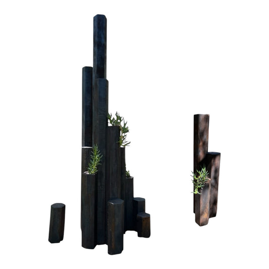 Black Point