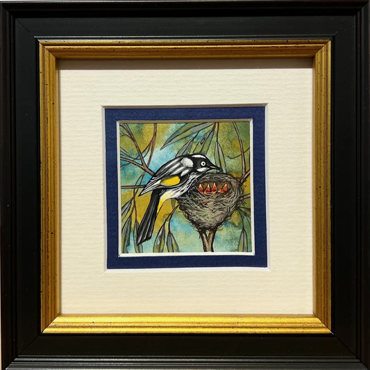 New Holland Honeyeater, Deep Blue