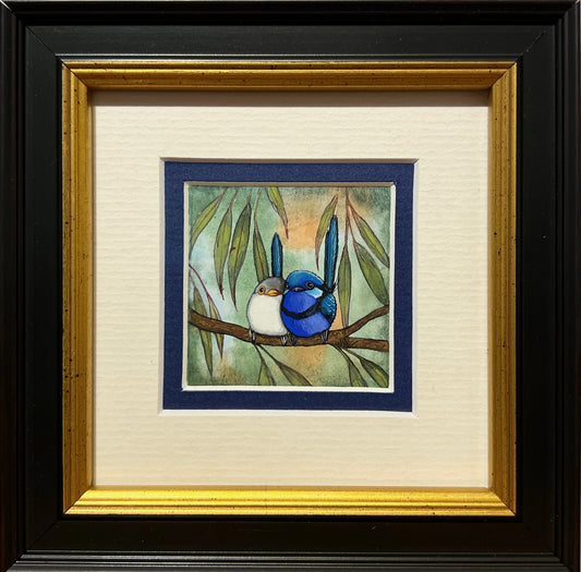 Two Splendid Fairy Wrens, Deep Blue