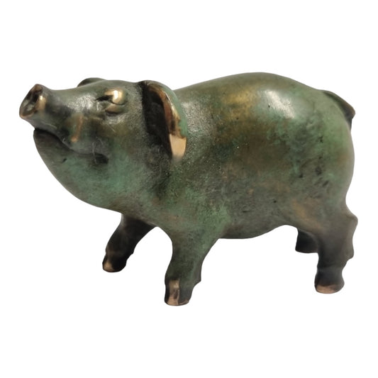Pig Curious