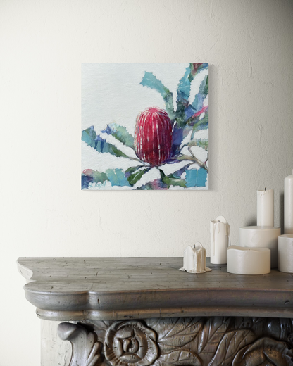 Banksia Dreams