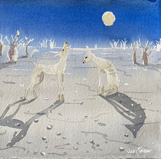 Two White Dingoes