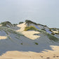 Dune Shadows No 6 Boodjidup