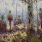 Amongst Bush, nr Margaret River