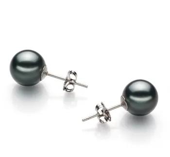 Black Pearl Studs