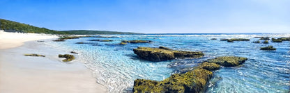 Smith's Beach, Summer Days