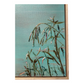 Currawine Gorge -  Exhibition, Nov-Dec 2022
