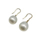 Earrings - 9kt Yellow Gold Australian South Sea Cultured Pearl