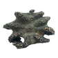 Blue Ringed Octopus