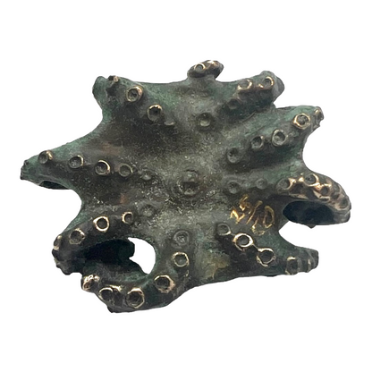 Blue Ringed Octopus