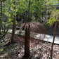 Grass Tree, Brown Ceramic & Wire