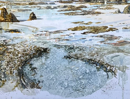 Montebello Islands Study - Exhibition April 2023