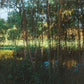 Freddy's Creek