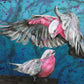Being Galah 1/100