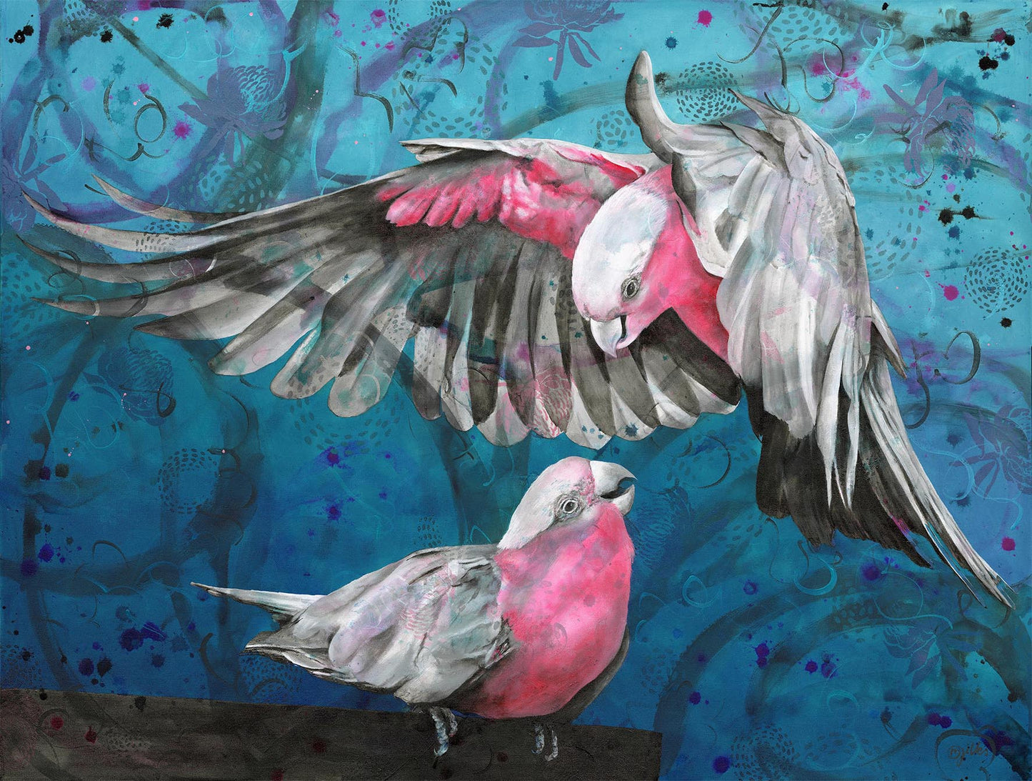 Being Galah 1/100