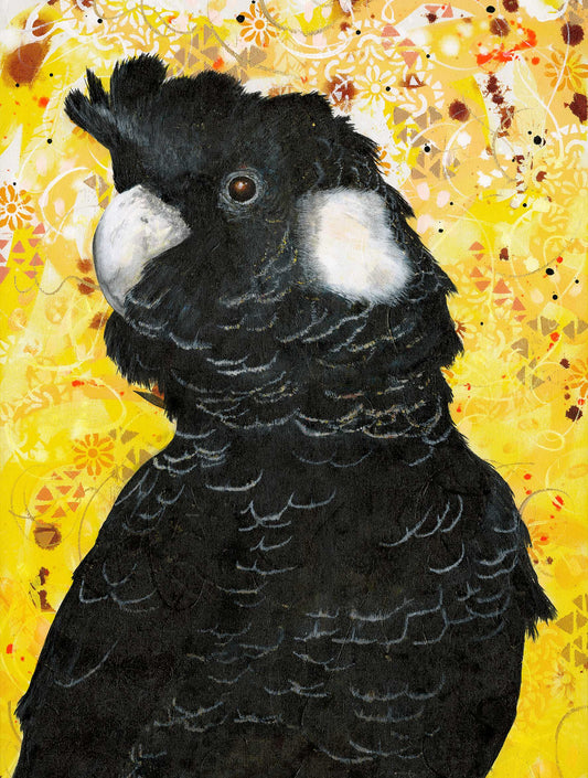 Black Cockatoo 2