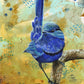 Blue Wren2 1/100