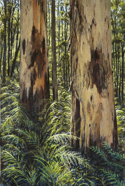 Light Between, Boranup Forest - Jan 2024