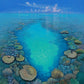 Coral Pool