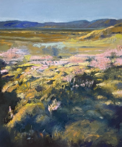 Mulla Mulla, Karijini