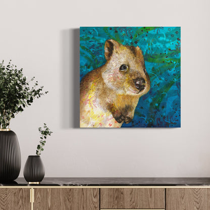 Quokka