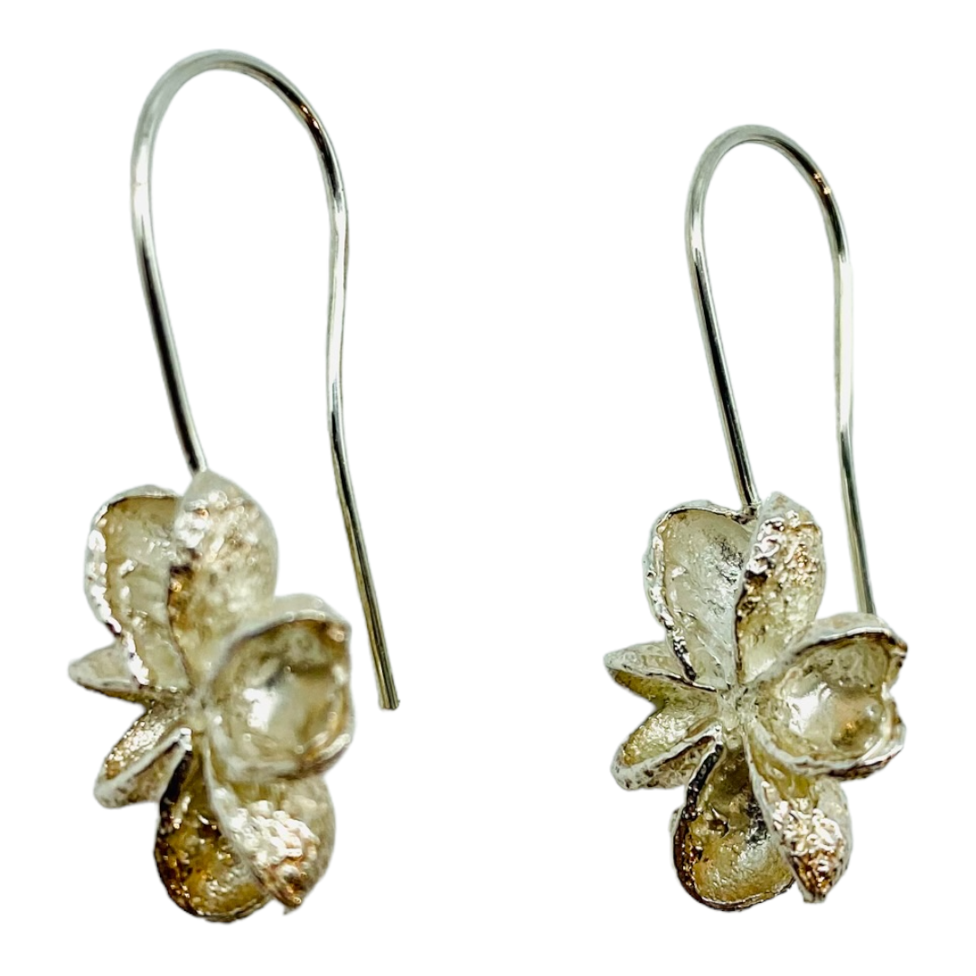 Earrings, Melicope Seed Pods