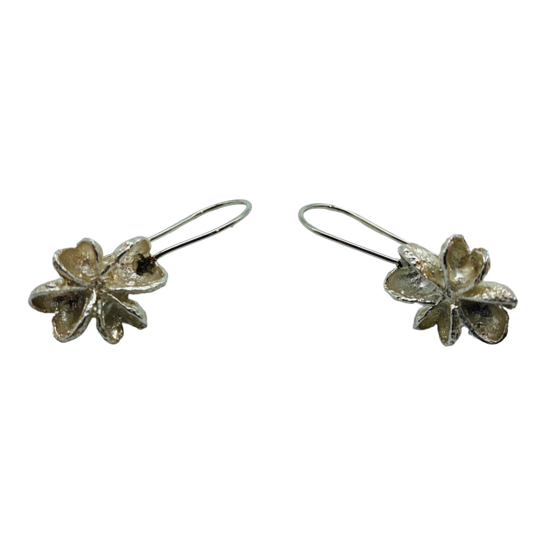 Earrings, Melicope Seed Pods