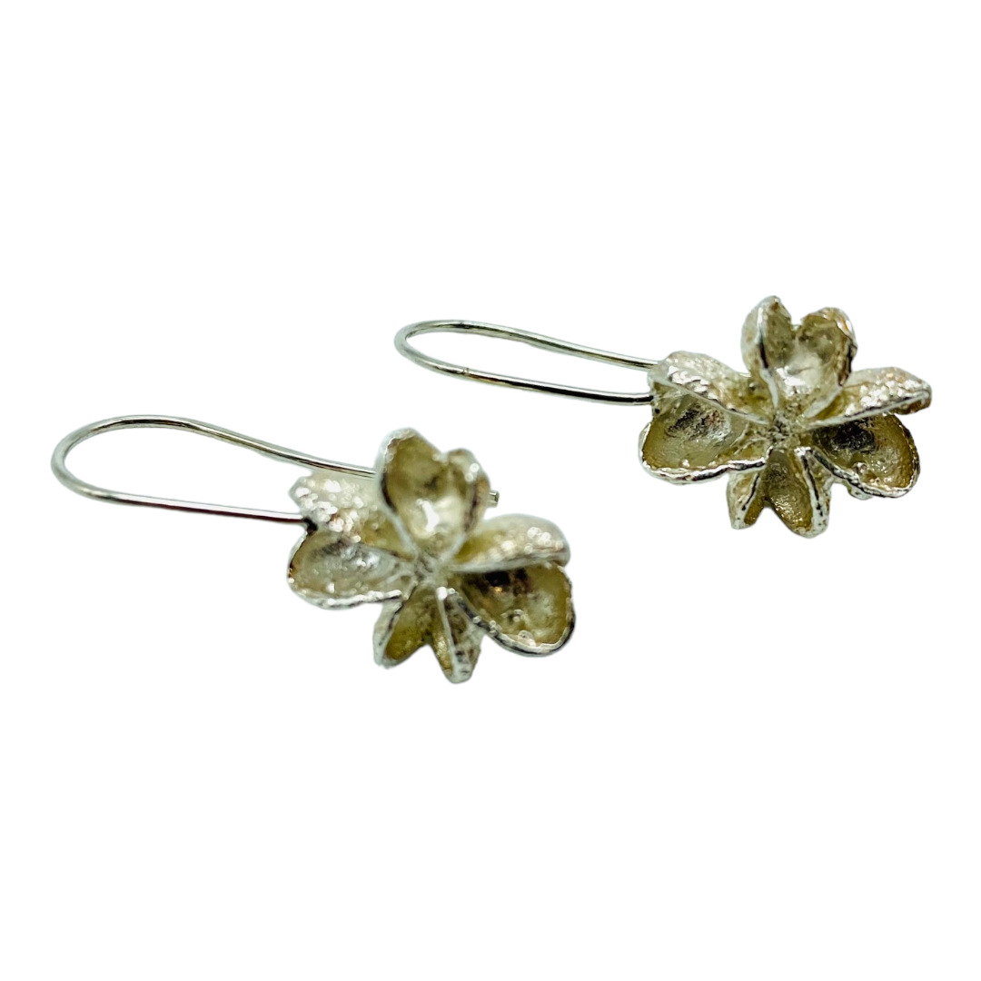 Earrings, Melicope Seed Pods