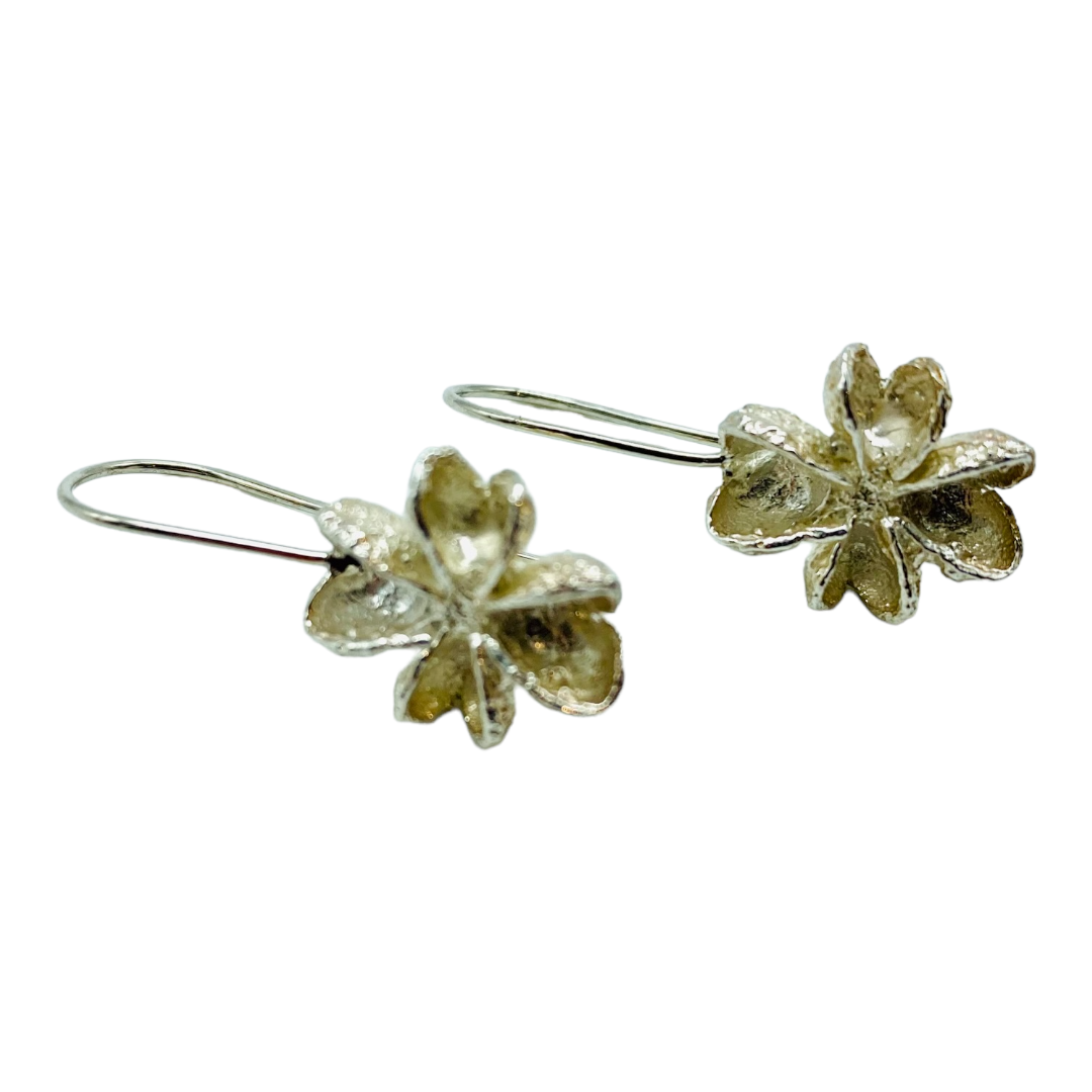 Earrings, Melicope Seed Pods