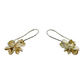 Earrings, Melicope Seed Pods