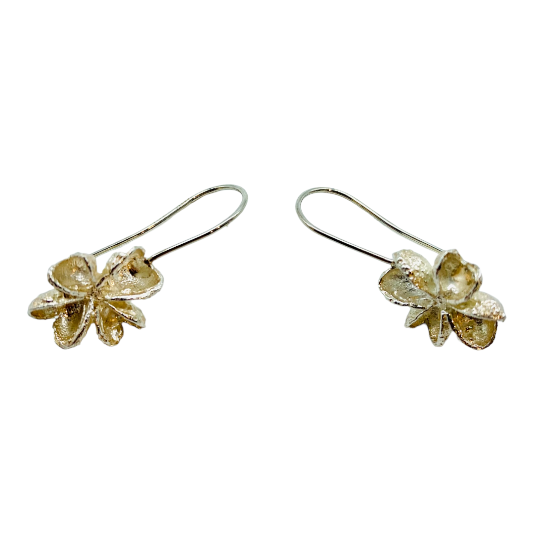 Earrings, Melicope Seed Pods