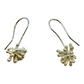 Earrings, Eucalyptus Seed Pods
