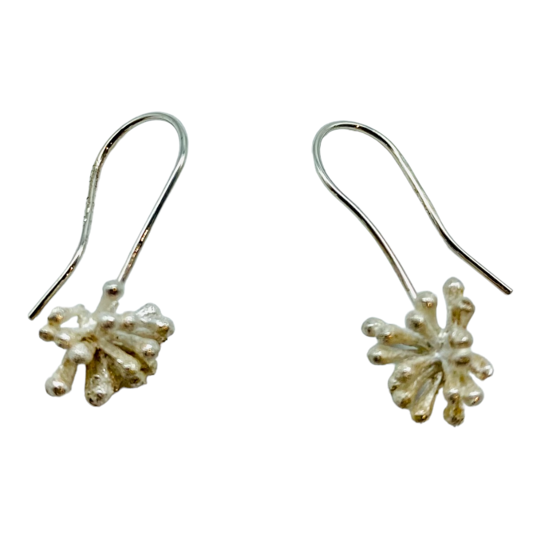 Earrings, Eucalyptus Seed Pods