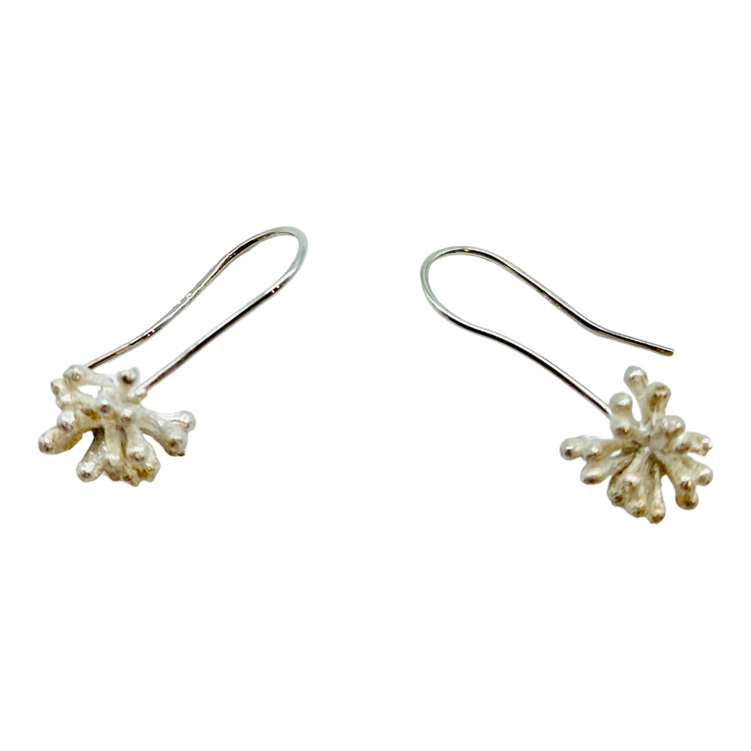 Earrings, Eucalyptus Seed Pods