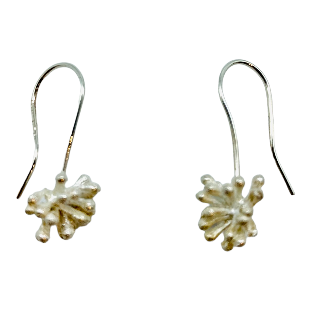 Earrings, Eucalyptus Seed Pods