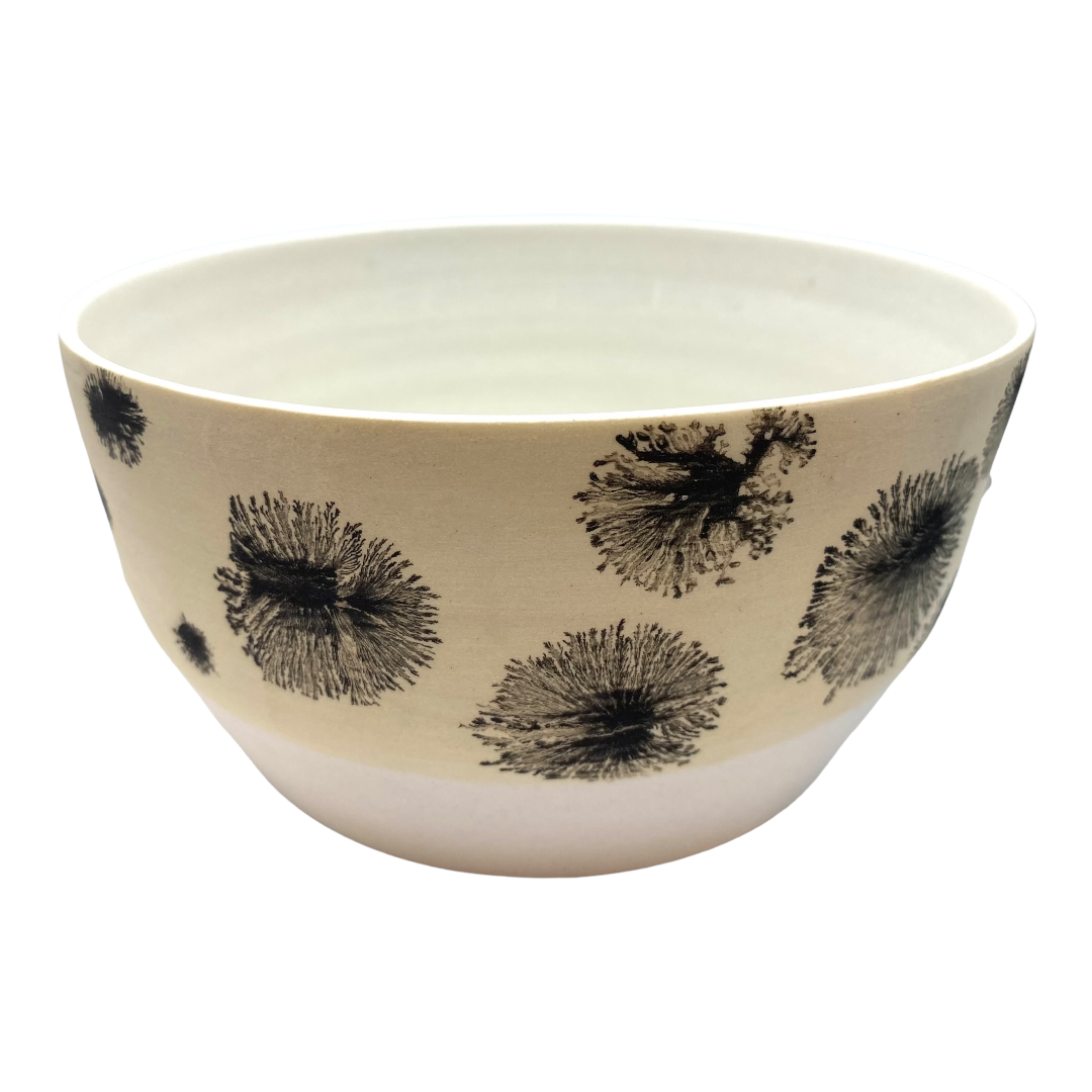 Lichen Bowl