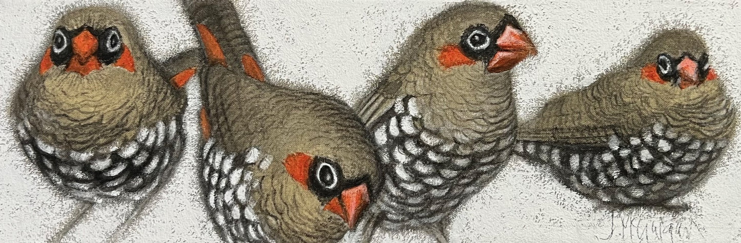 Red Eared Fire Tail Finch