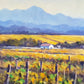 Summer Vineyards