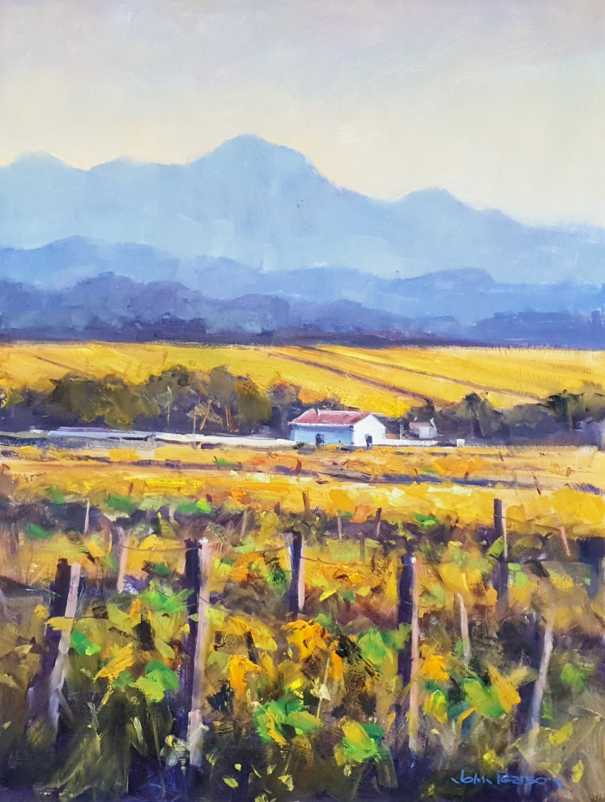 Summer Vineyards