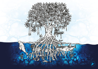 Mangroves